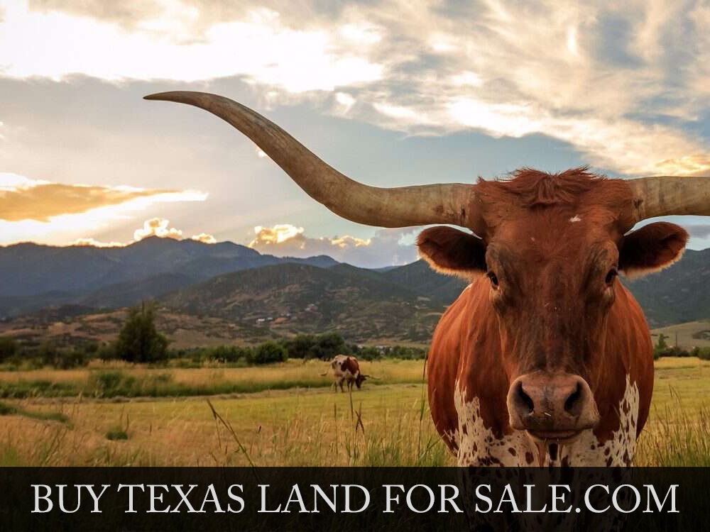 Buy-Texas-Land-For-Sale